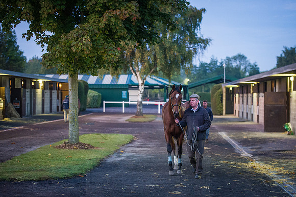 Goffs Orby 2015 -20