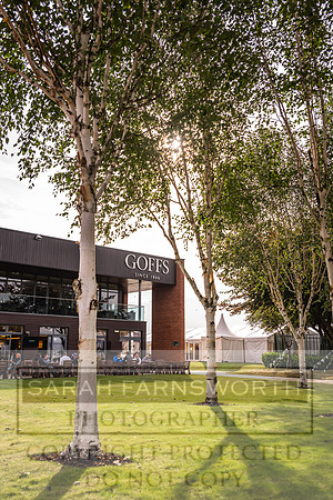 Goffs UK PY24-329