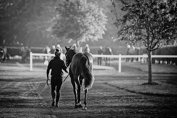 Goffs Orby 2015 -449 bw