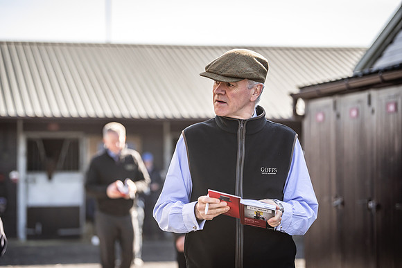 Goffs UK Breeze Up 2022-73