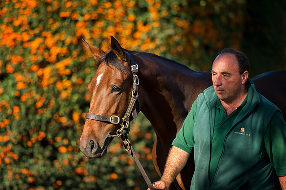 Goffs Orby14 CF7 279