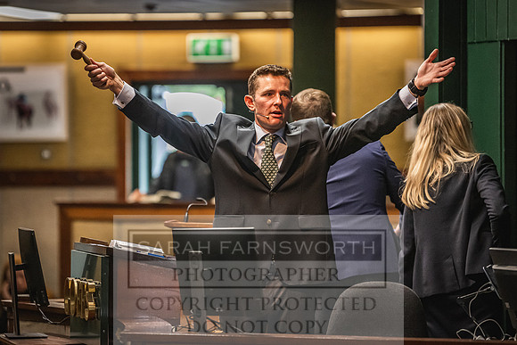 Goffs Land Rover Sale 2022-253