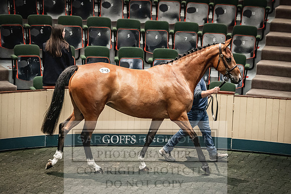Goffs Land Rover Sale 2022-558