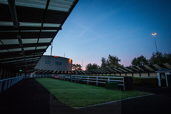 Goffs Orby 2015 -30