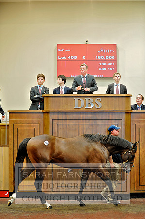 DBS YS13 Day 2 CF11 061