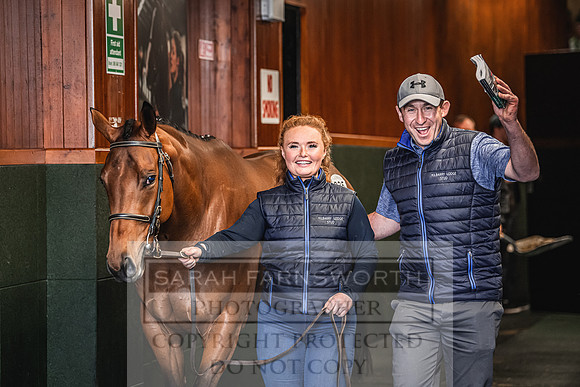 Goffs Land Rover Sale 2022-648