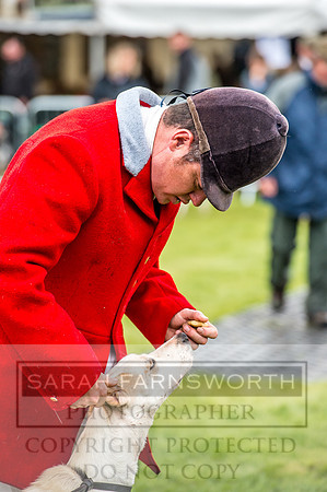 Lowther Hound Show 2017-49
