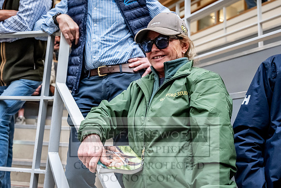 Goffs UK Spring Sale 2024-140