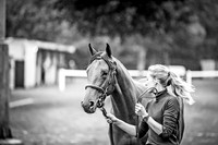 Goffs Orby 2018 Day 1-4