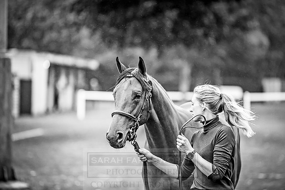 Goffs Orby 2018 Day 1-4
