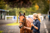 Goffs Orby 2018 Day 1-3