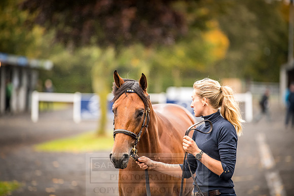 Goffs Orby 2018 Day 1-3