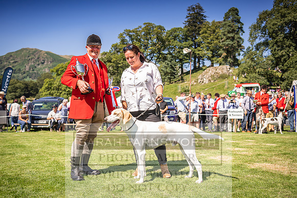 Rydal Hound Show 2022-133