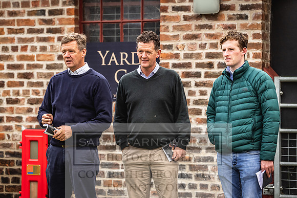 Goffs Yorton Sale 2022-65