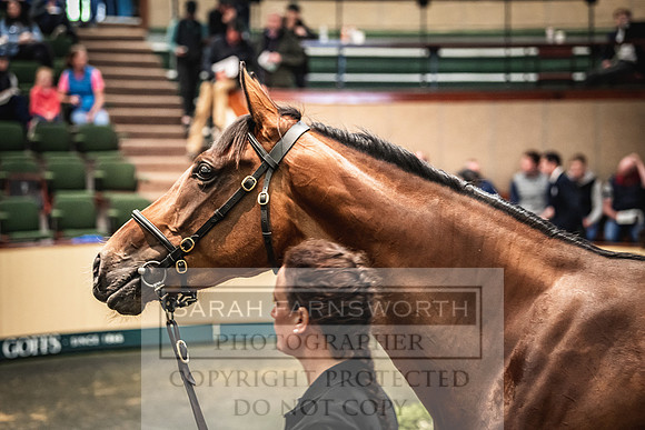 Goffs Land Rover Sale 2022-660