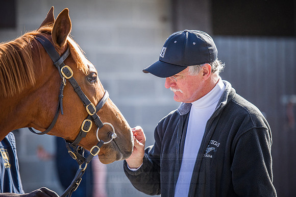 Goffs Orby 2015 -404