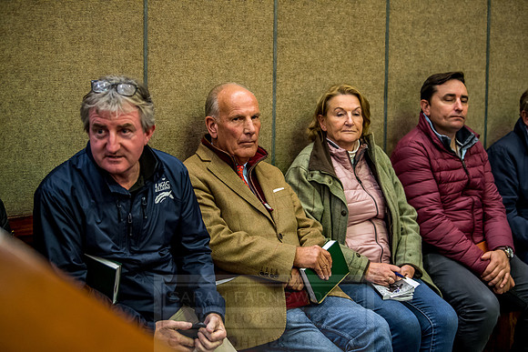 Goffs Orby 2018 Day 1-398