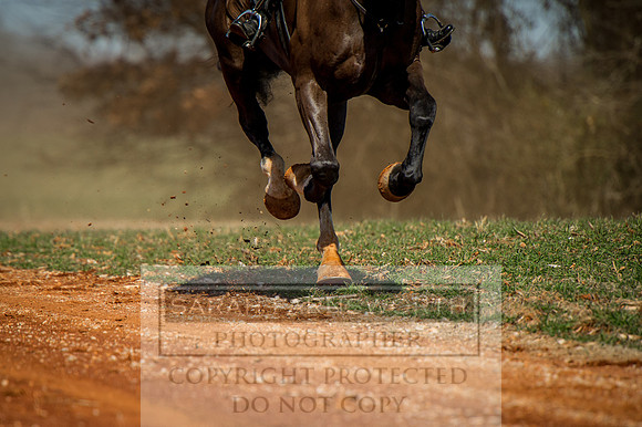 Mooreland Hunt-72