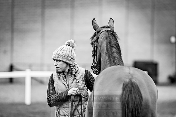 Goffs Orby 2018 Day 2-21