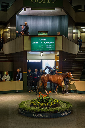 Goffs Orby 2015 -254
