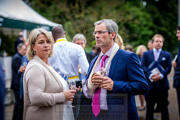 Goffs London Sale 2016-176