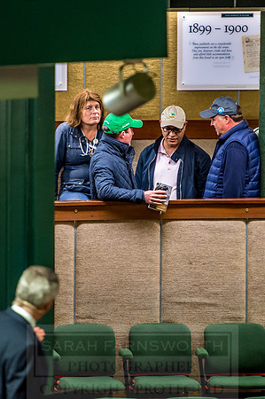 Goffs Orby 2018 Day 2-177