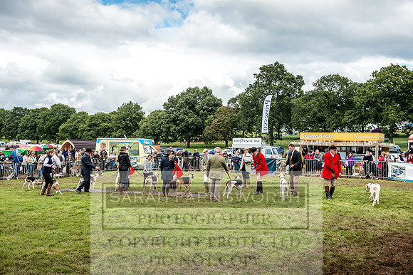 Lowther Hound Show 2017-121