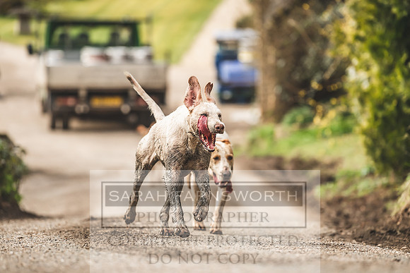 Thurlow at Heythrop 130319-563