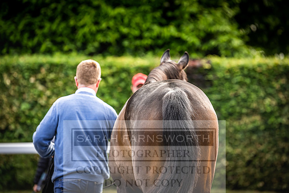 Goffs Land Rover Sale 2022-14