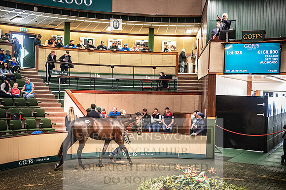 Goffs Land Rover Sale 2022-653