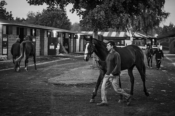 Goffs Orby 2015 -22 bw
