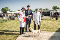 Festival of Hunting 2021