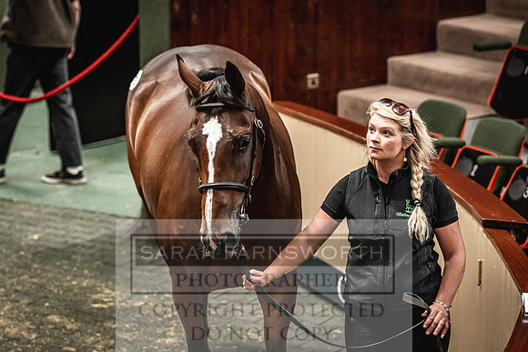 Goffs Land Rover Sale 2022-268
