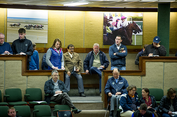 Goffs Orby14 CF10 090
