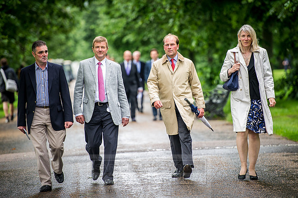 Goffs London Sale 2016-45