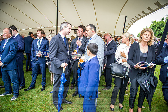 Goffs London Sale 2016-296
