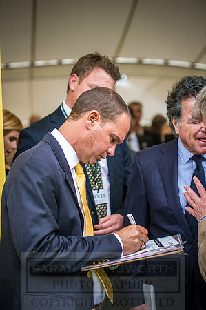 Goffs London Sale 2016-354