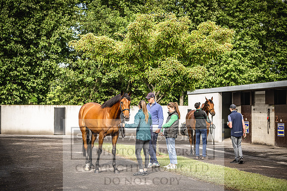 Goffs Land Rover Sale 2022-72