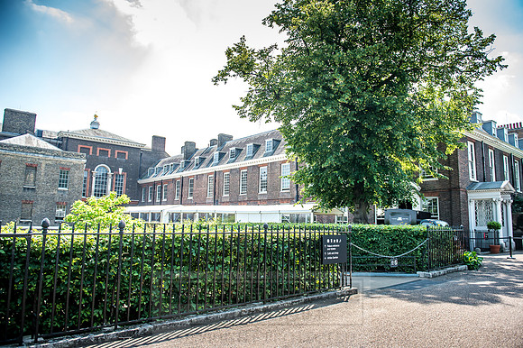Goffs London Sale 2017-17