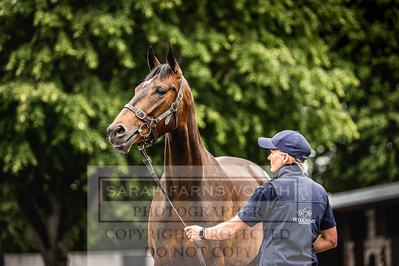 Goffs Land Rover Sale 2022-236