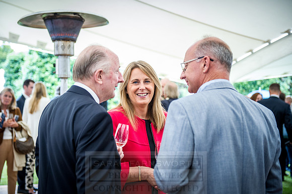 Goffs London Sale 2016-235