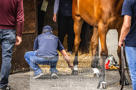 Goffs Land Rover Sale 2022-222