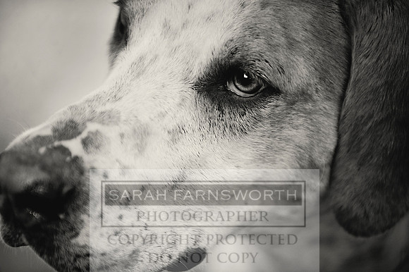 SoEHS14 CF2 346 bw
