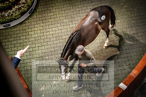 Goffs Land Rover Sale 2022-605