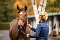 Goffs Orby 2018 Day 1-11