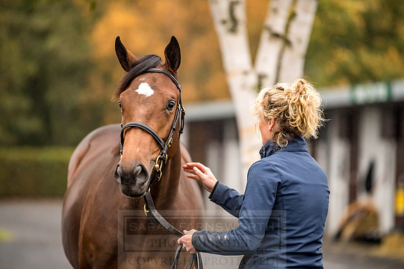 Goffs Orby 2018 Day 1-11