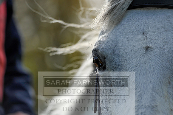 Heythrop Fun Ride 2014-505