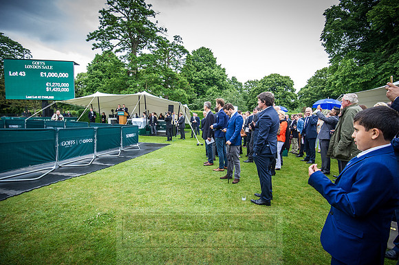 Goffs London Sale 2016-478