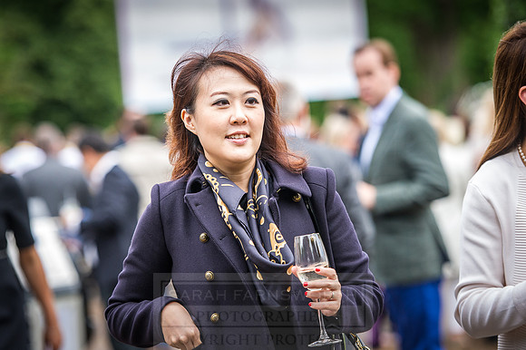 Goffs London Sale 2016-102