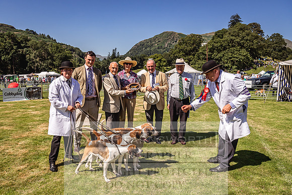 Rydal Hound Show 2022-100